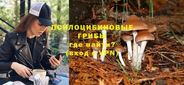 прущие крисы Заволжск